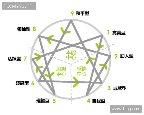 深入解析杭州足球队的配合表现与战术执行力的影响因素 深入解析杭州足球队的配合表现与战术执行力的影响因素