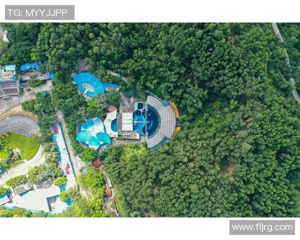 深圳乒乓球队的速度之美与技术探秘全景解析